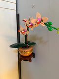 Brick Mini Orchid  10343 wall mount compatible with Lego 10369 10368