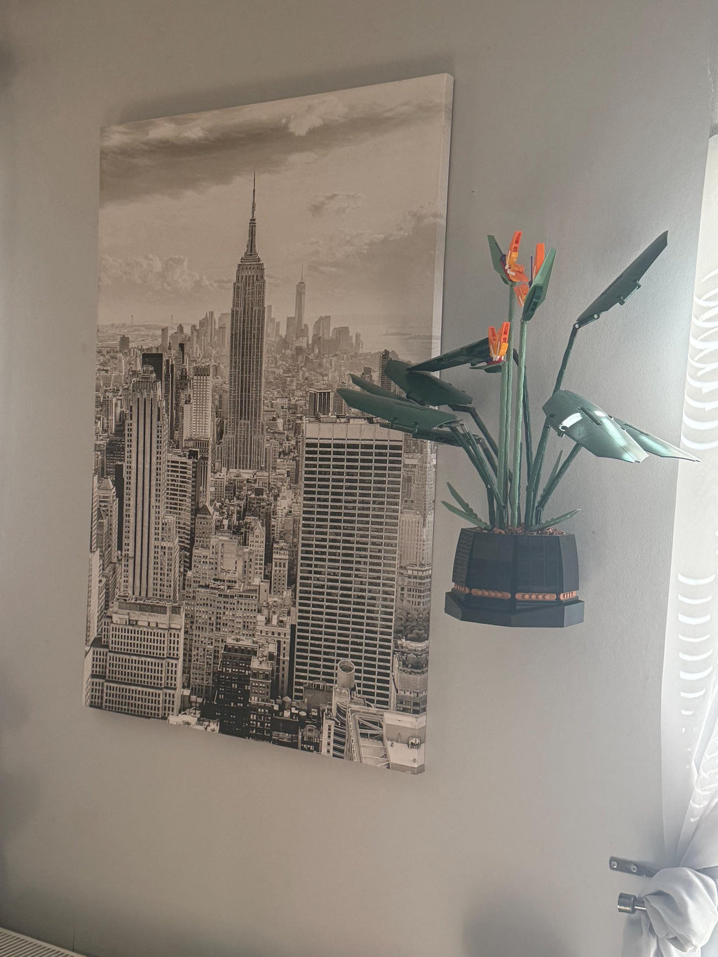 Bird of Paradise 10289 wall mount